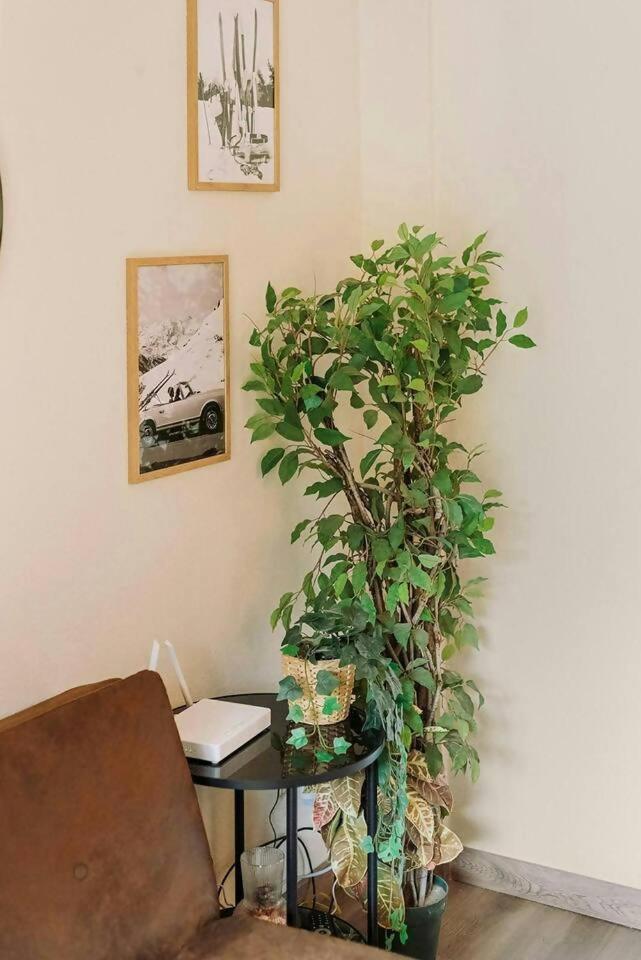 La Casita Del Arbol Apartman Sallent de Gállego Kültér fotó